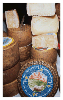 Ourtime - Salone del Gusto 2012