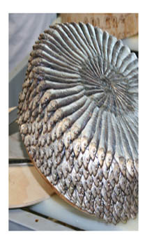 slow fish